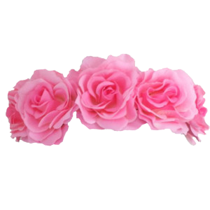 Flower Crown Png Images Transparent PNG images