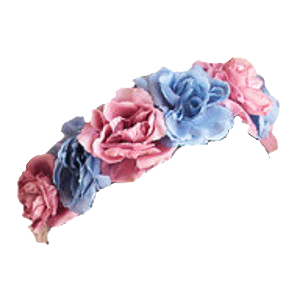 Flower Crown Png Transparent PNG images