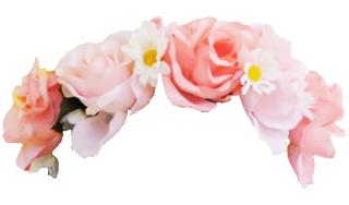 Flower Crown PNG, Flower Crown Transparent Background - FreeIconsPNG