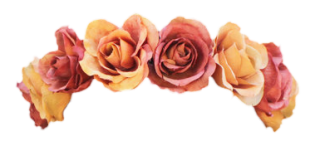 Flower Crown Png Tumblr PNG images