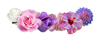 Pink And Purple Flower Crown Png PNG images