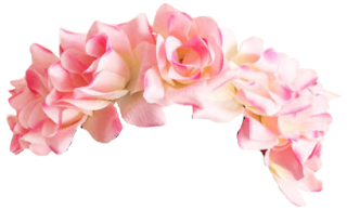 Pink Flower Crown Png PNG images