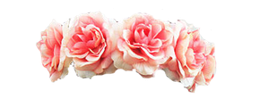 Pink Flower Crown PNG PNG images