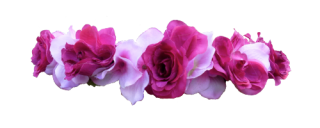 Pink Rose Flower Crown Png PNG images