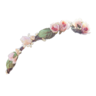 Transparent Flower Crowns Picture Png PNG images