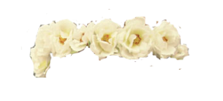 White Flower Crown PNG PNG images