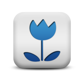 Free Flower Icon Image PNG images