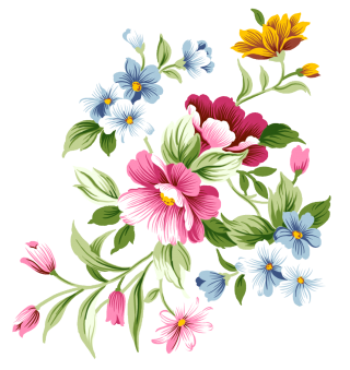 Transparent Image PNG Flower PNG images