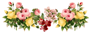 Download Picture Flower PNG images