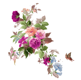 PNG Free Download Flower PNG images