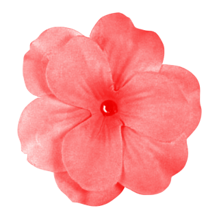 Best Free Flower Png Image PNG images