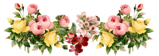 Flower Clip Art PNG images