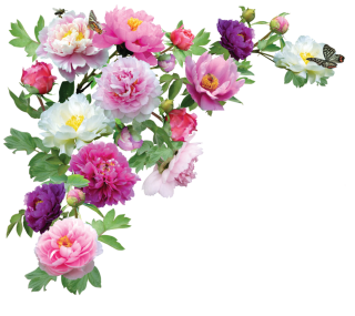 Flower PNG Clipart PNG images