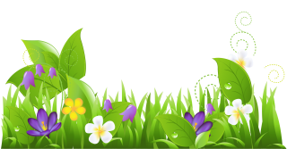 Download And Use Flower Png Clipart PNG images