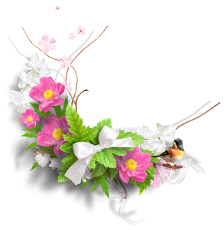 Spring Flowers Image Png PNG images