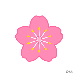 Flower Symbol Of The Cherry Tree｜Pictures Of Clipart And Graphic PNG images