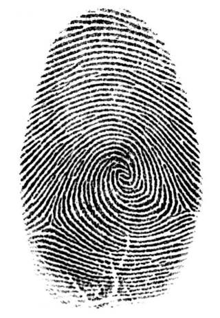 Vectors Icon Free Download Forensic PNG images