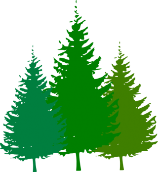 Forest Symbols PNG images
