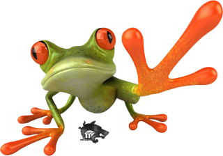 Frog PNG PNG images
