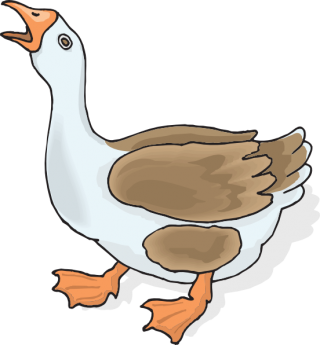Png Clipart Goose Collection PNG images