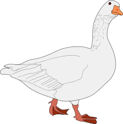 Goose Png Clipart PNG images