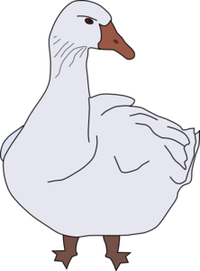 White Goose Png Image PNG images