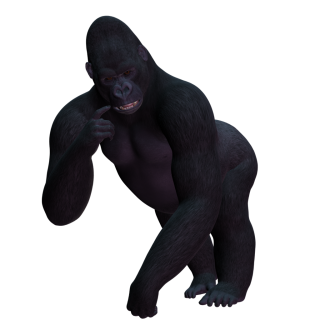 Browse And Download Gorilla Png Pictures PNG images