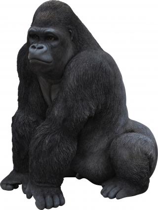 Gorilla PNG Transparent PNG images