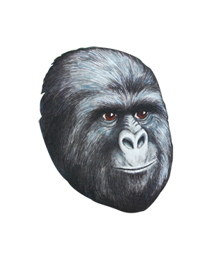 Gorillas Face Png PNG images