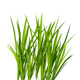 Billboard Grass Png PNG images