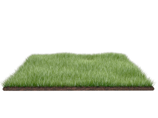 Grass Field Png PNG images