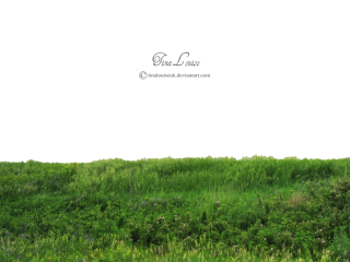 Grass PNG, Grass Transparent Background - FreeIconsPNG