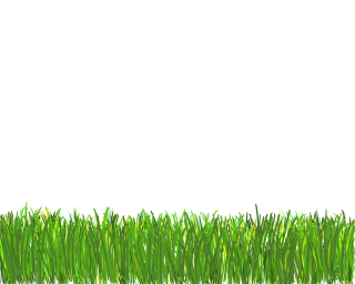 Designs Png Grass PNG images