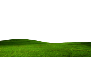 Grass Transparent Png PNG images