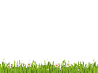 Grass PNG, Grass Transparent Background - FreeIconsPNG