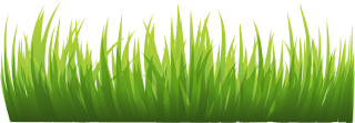 Grass Png Image, Green Grass Png Picture PNG images