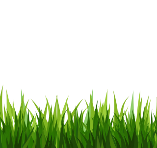 Green Grass Clipart PNG images