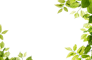 Green Leaves Frame Png Image PNG images