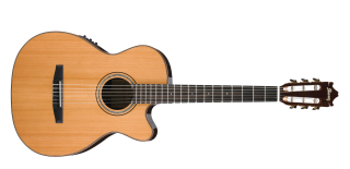 Classic Guitar Pictures PNG images