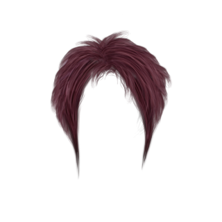 Download Free High-quality Hair Png Transparent Images PNG images