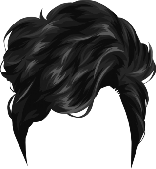 Free download  HD PNG free roblox black hair PNG transparent with