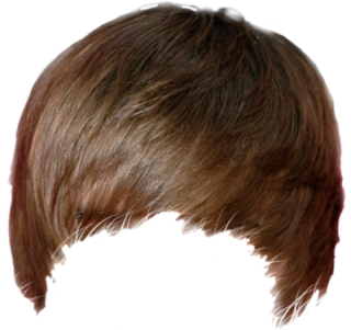 Justin Bieber Hair Png PNG images