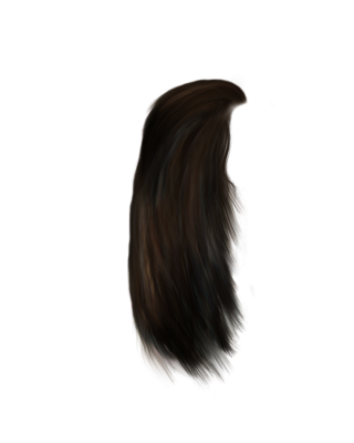 Women Hair Png PNG images