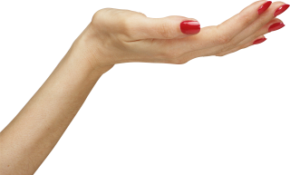 Hands Png, Hand Image Women Hands PNG images