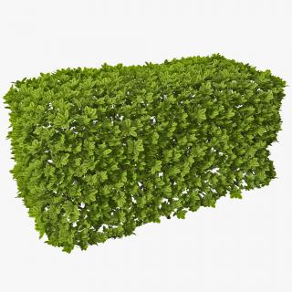 Download Images Free Hedges PNG images