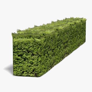 Free Download Hedges Png Images PNG images