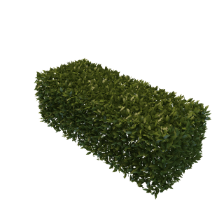 Best Free Hedges Png Image PNG images