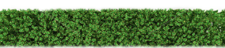 PNG Hedges HD PNG images