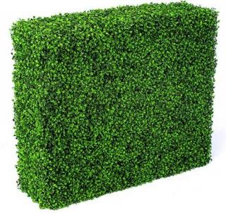 Hedges Images Png Free Download PNG images