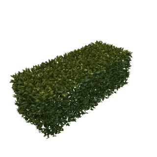 Background Transparent Hedges PNG images